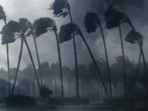 Expert en sinistre en Guadeloupe : catastrophe naturelle, cyclone, inondation — faites valoir vos droits